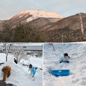 瀧澤の冬⛄️。。。
